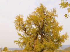 -杭州野生动物世界