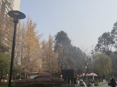 -温江公园