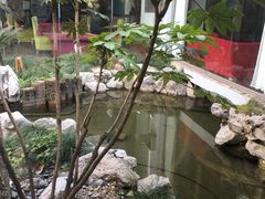 -园林格兰云天大酒店-太极名厨中餐厅