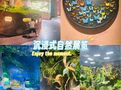 -厦门诚毅自然探索馆