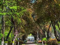 -山东大学学府大酒店(千佛山地铁站店)