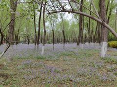 -东升八家郊野公园