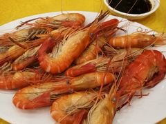 -鸿达渔港