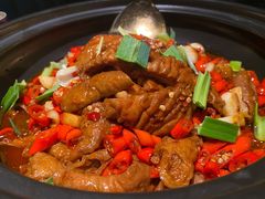霸道尖椒肥肠-黄晓猫剁椒大鱼头(海岸城店)