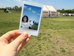 -春花秋色城市公园