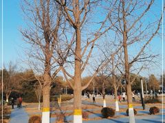 -太阳宫公园