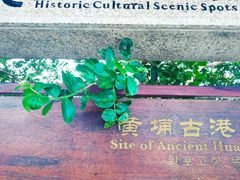 -黄埔古港
