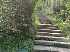 -水濂山森林公园