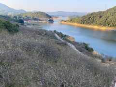 -广州市流溪河国家森林公园