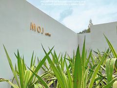 -MOJ coffee(瓯海泽雅水碓坑店)