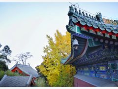 -香山公园
