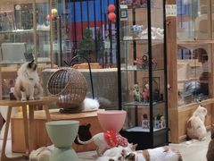 -藏猫猫咖啡主题馆(中央大道店)