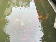 -龙潭水乡