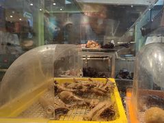 -龙记香港茶餐厅(久光百货店)