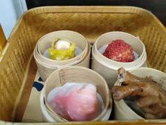 -广州都市观光巴士(粤陶巴)