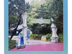 -温州乐园