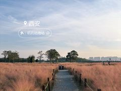 -汉长安城未央宫国家考古遗址公园