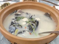 -千岛湖东南湖区
