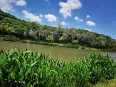 -新江湾城公园