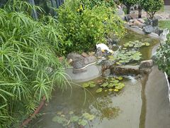 -蘇河湾·新鲁菜·泰山宴(泰山店)