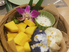 -mango tree芒果树(万象城店)