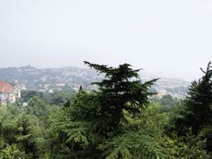 -信号山公园