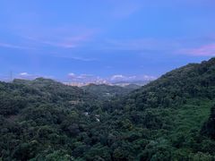 -阳台山森林公园