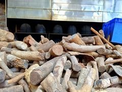 荔枝木-八景休閒山莊  廣東十大名山莊