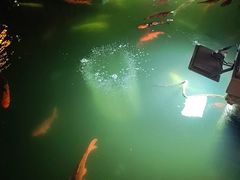 -麦园农庄·西江河鲜