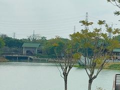 -王借岗森林公园