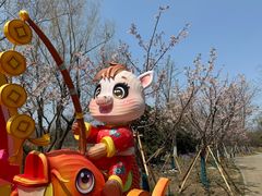 -梁鸿国家湿地公园