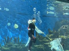 -海合安武汉极地海洋公园
