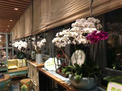 店内布置-若蘭慈·无国界素食料理(欢乐海岸店)