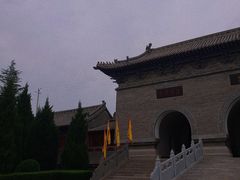-大槐树寻根祭祖园