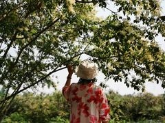 -白鹭湾湿地公园
