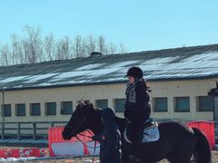 -北京群众马术培训基地