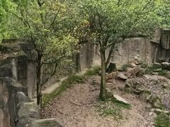-杭州野生动物世界