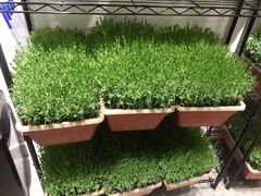 -渝悦情·新派川菜(建国门店)