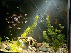 -上海海洋水族馆