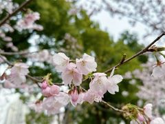 -静安雕塑公园