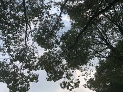 -雨花胜境