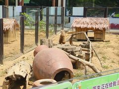 -大连森林动物园