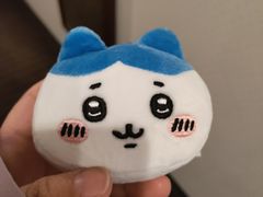 -狸小路商店街