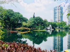 -晓港公园