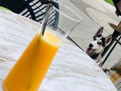 -The Rug Cafe(王府中环店)