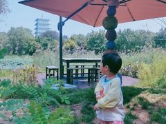 -Supine Bistro溯泮餐厅