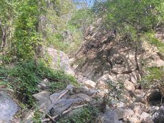 -大岭沟猕猴桃谷风景区