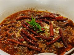 -来哥菜馆·大厨烹小鲜