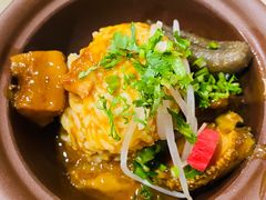 -食神鱼头佛跳墙(百子湾旗舰店)