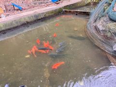 -途中饭店(开化店)